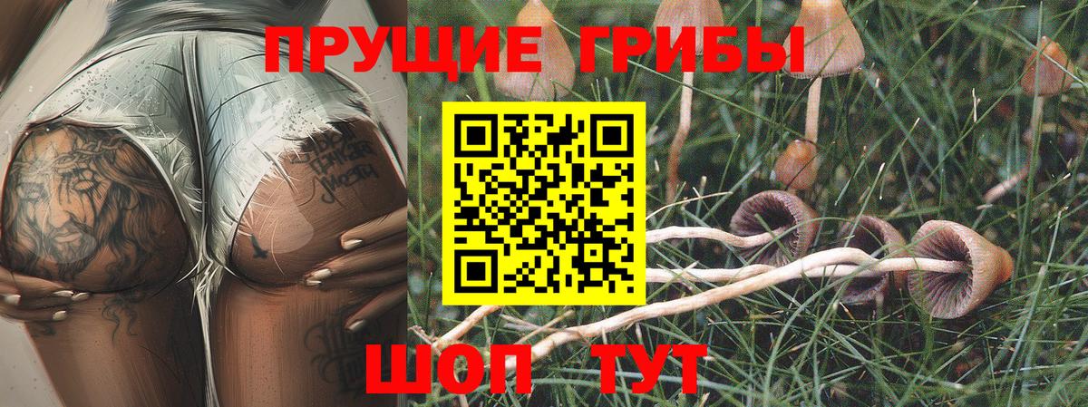 Галлюциногенные грибы мухоморы  Вход с VPN  Кировск 